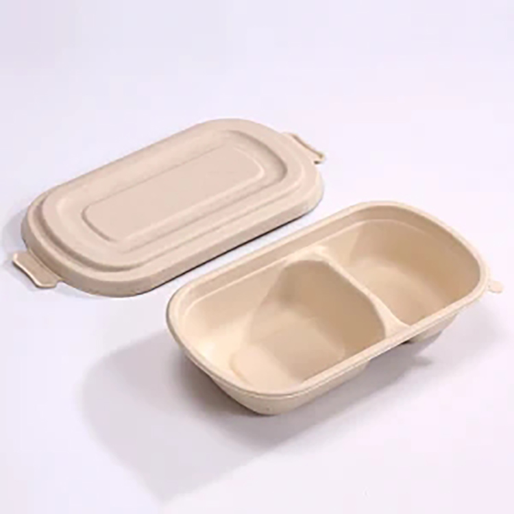  Sugarcane Bagasse 2 compartment Lunch Box