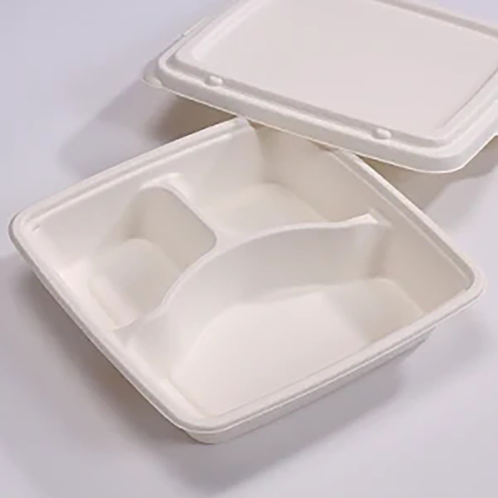 Sugarcane Pulp 3 Compartment Fast Food Container